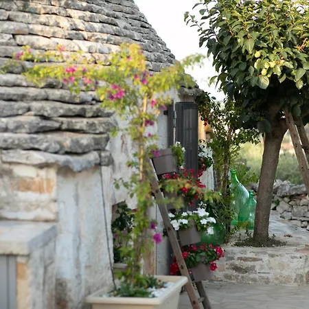 Trulli Arborea *